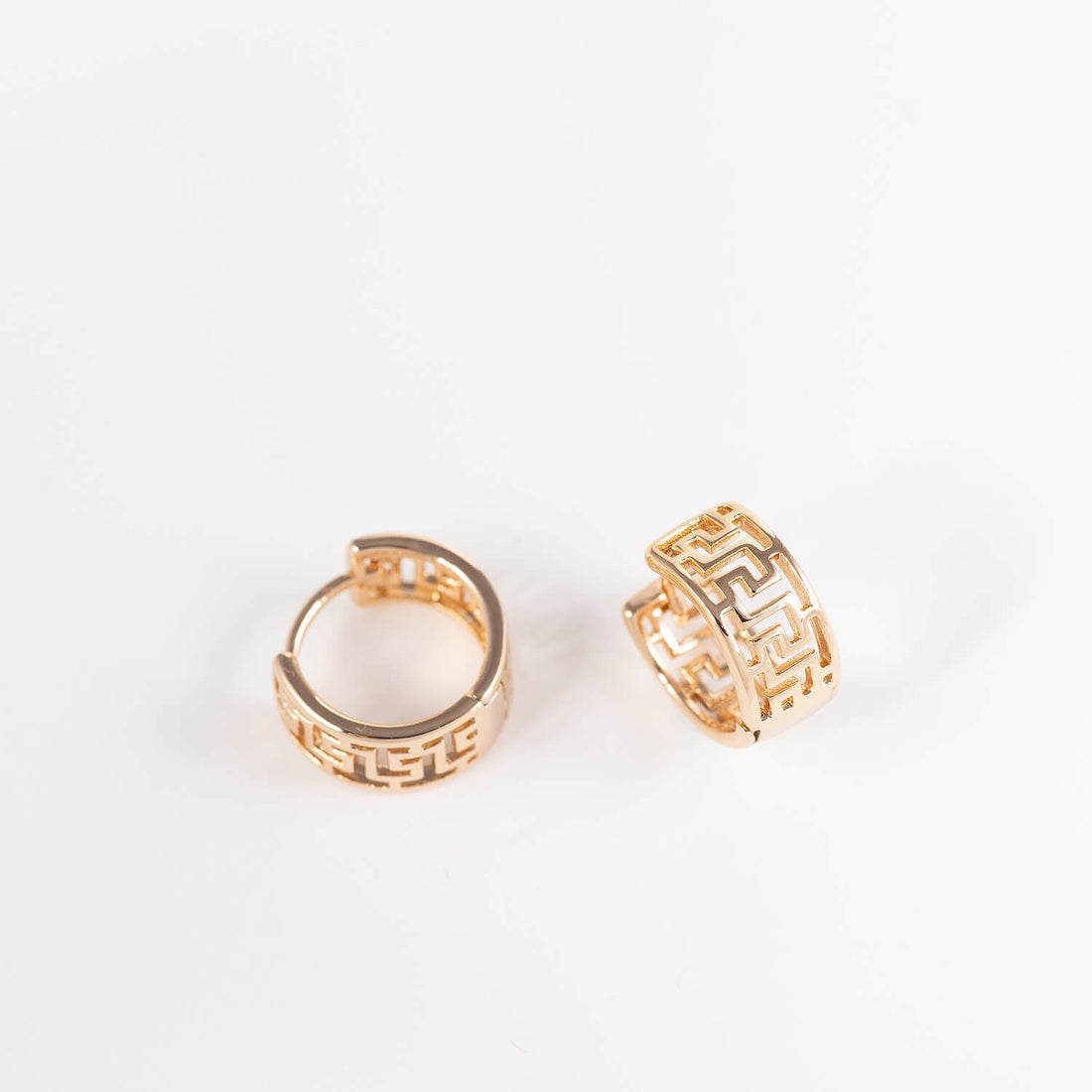 Antialerģiski Riņķīšu auskari 'DĀRTA'