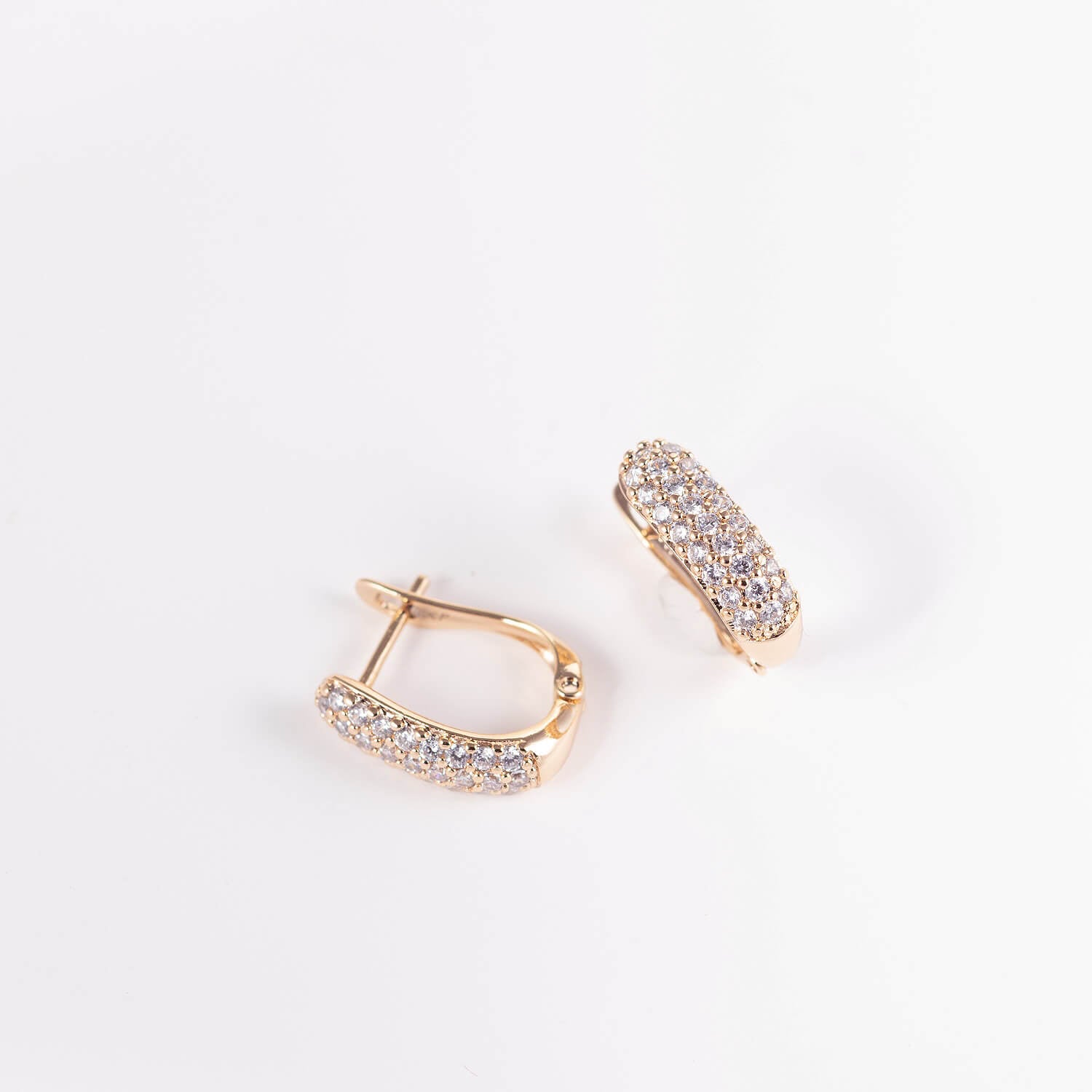 Antialerģiski riņķīšu auskari 'LĪVA'